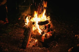 Log remains being burnt for disposal